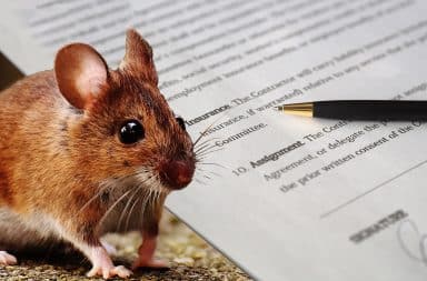 mouse contract
