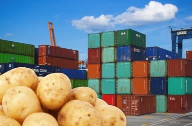 shipping containers potatoes