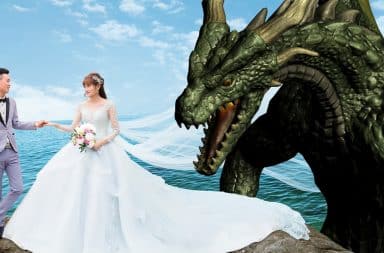 wedding dragon
